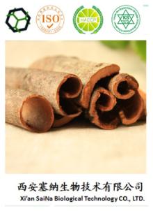 cinnamon bark extract polyphenols