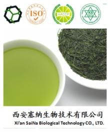 green tea extract manufacturer