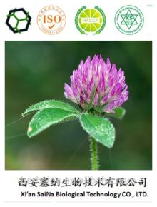 Buy best Red clover leaf extract powder/top manufacturer ISO HACCP KOSHER
