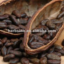 cocoa bean extract