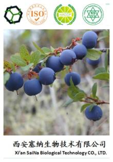 Bilberry Extract