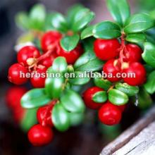 Cranberry extract