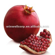 Pomegranate Extract