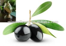  Olive  Leaf Extract