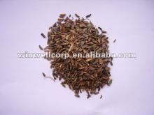 Herbal Burdock Root Extract