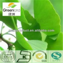 24%&6%Ginkgo Leaf extract