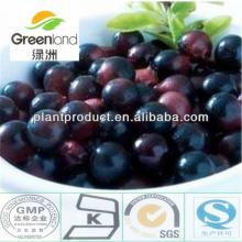 herbal extract,Acai berry extract