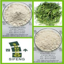 Organic Green tea extract catechin 10%-98%,Organic Green tea extract tea polyphenols