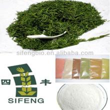 Green tea  extract   powder  90% polyphenols