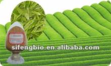 Organic Green Tea Extract-tea Polyphenols,catechins,EGCG/Organic Green Tea Extract Powder