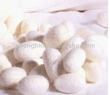 Silk fibroin powder / silk protein powder