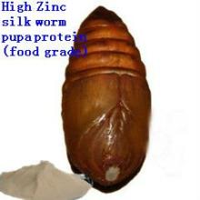 High Zinc Protein Powder/ High zinc silkworm pupa amino acids/ silkworm chrysalis protein