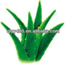 aloe  aloin   extract 