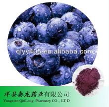 100% Natural acai berry powder 5:1 10:1 15:1 20:1