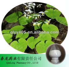 Barrenwort P.E epimedium