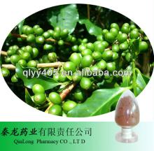 Natural Chlorogenic Acid Pure Green Coffe Bean Extract