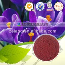 Saffron II CAS:55750-84-0 Crocus sativus extract powder