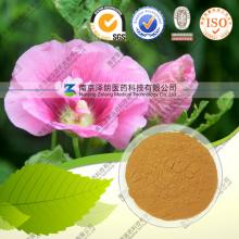 Natural Marshmallow Root Extract Powder