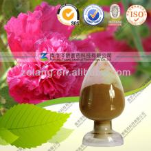 Natural Althaea Rosae Root Extract Marshmallow Root P.E