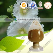 Natural Marshmallow Root Extract 10:1 20:1 Ratio Extract
