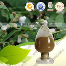 Marshmallow Root Extract/ Althaea Officinalis Extract