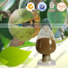 Supply pure Tea seed extract