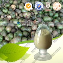 tea leaf Saponin extract organic quality