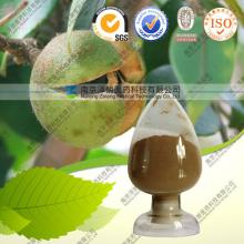 Natural tea seed extract saponin 95% 98%