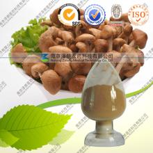 Tea Tree Mushroom Extract 10%-50% Polysaccharides Powder