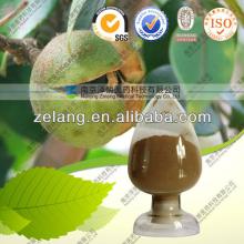 Natural Tea Seed Extract Powder