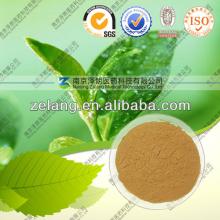 Natural Green Tea Extract Powder 90% Tea polyphenol