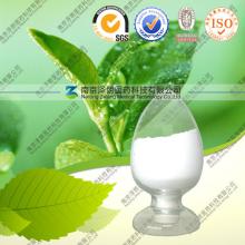 Natural  Green  Tea  Leaf   Extract  Powder