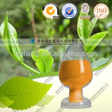Green tea extract powder tea polyphenols