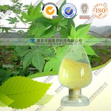 Natural  Sweet   Tea   Extract   Powder 