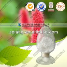 CAS:61276-17-3 Natural Cistanche Tubulosa Extract Acteoside 98%
