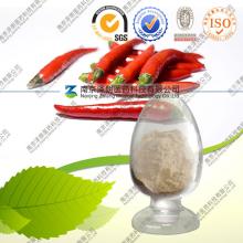 capsaicin powder