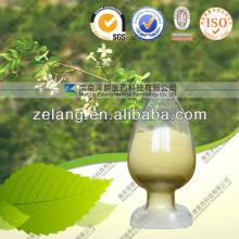 Arachis  Plant   Extract  CAS NO:491-70-3  Luteolin 