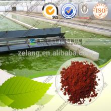 Natural Asaxanthin, Astaxanthin Powder & Oil