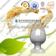 Narural Ginseng root / leaf Extract Ginsenosides