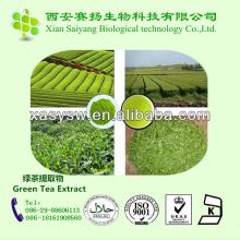 GMP Factory Provide High-quality green tea extract bulk