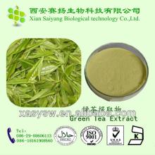 Green Tea Extract Tea polyphenol Powder Capsule