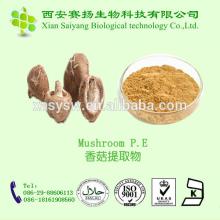 High Quality Tea tree mushroom Extract Powder
