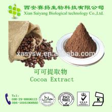 High Quality Cocoa Seed Extract Theobromine