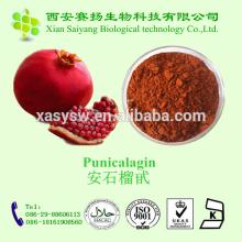 Good Quality Pomegranate Extract Punicalagin 98%