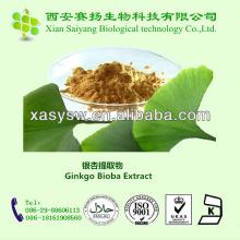 100% Natural Flavonoids Ginkgo Biloba Extract Powder Ginkgo Lactones