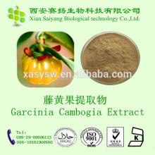 With Weight-loss Function Garcinia Cambogia extract 60% HCA