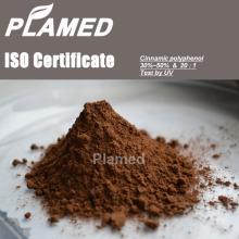 Super ceylon cinnamon extract supplier,100% pure ceylon cinnamon extract