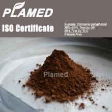 Super organic cinnamon extract supplier,100% pure organic cinnamon extract