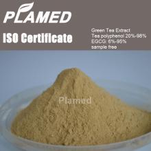 Buy top quality green tea extract powder,raw material top quality green tea extract
