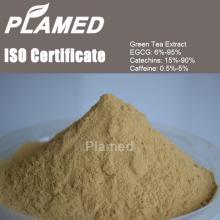 Super jasmine tea extract powder supplier,100% pure jasmine tea extract powder